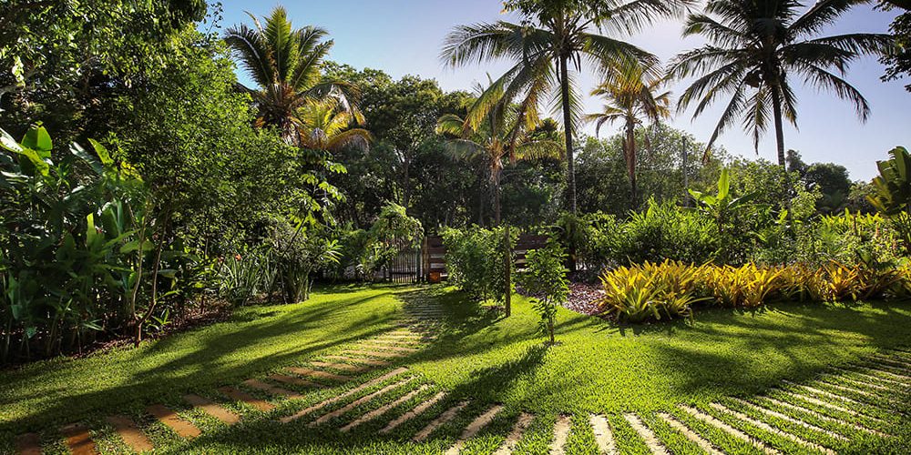 JARDIM amanhecer